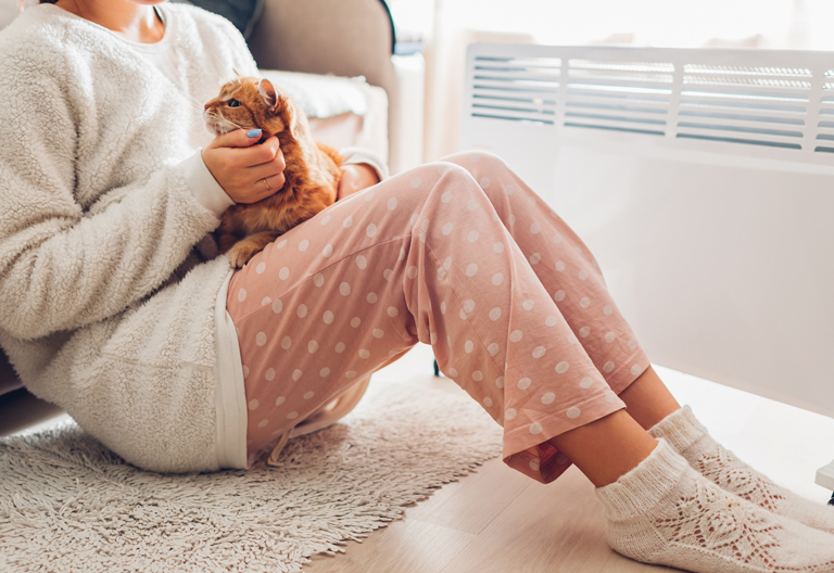 蓄熱式電気暖房機とは