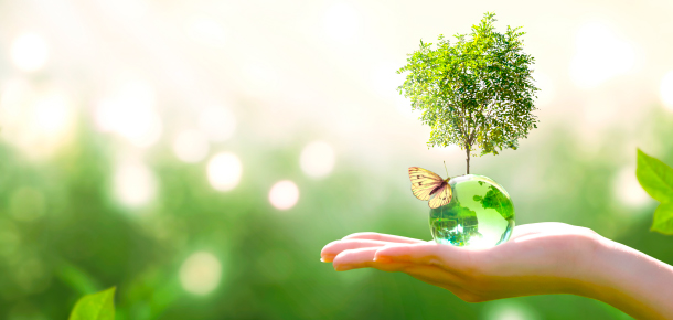 太陽光発電システムは環境保護にも威力を発揮